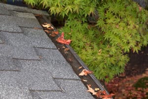 Mesh guards over troughs to prevent leaves and large debris from getting into gutters. Clogged gutters less likely, maintenance is much easier, can prevent rusting and provides added fire protection.